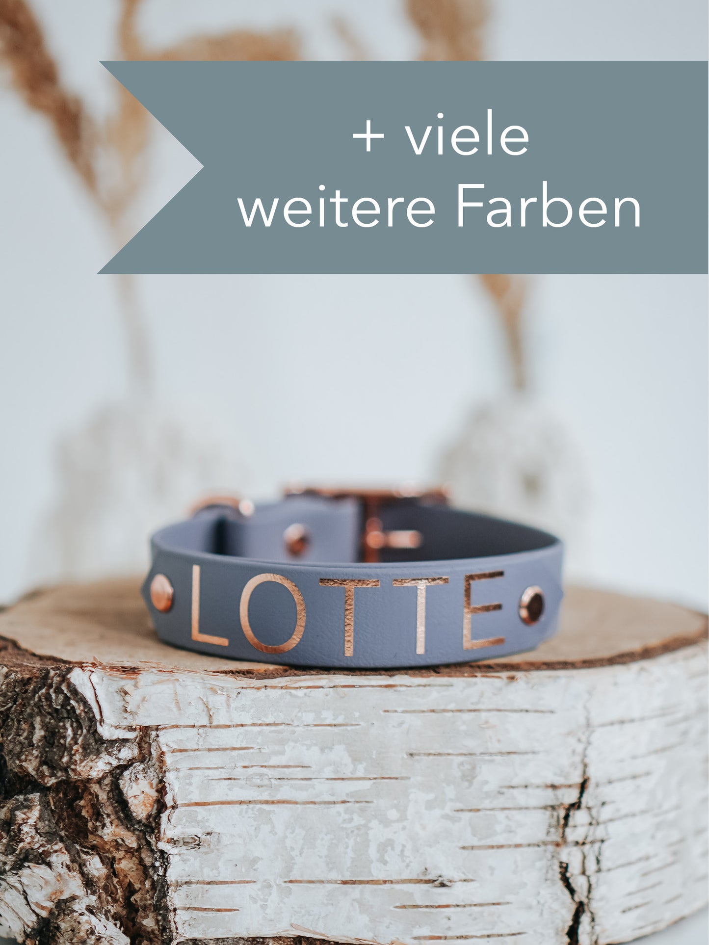 DIY Halsband Chloe mit Namensschild: Biothane®