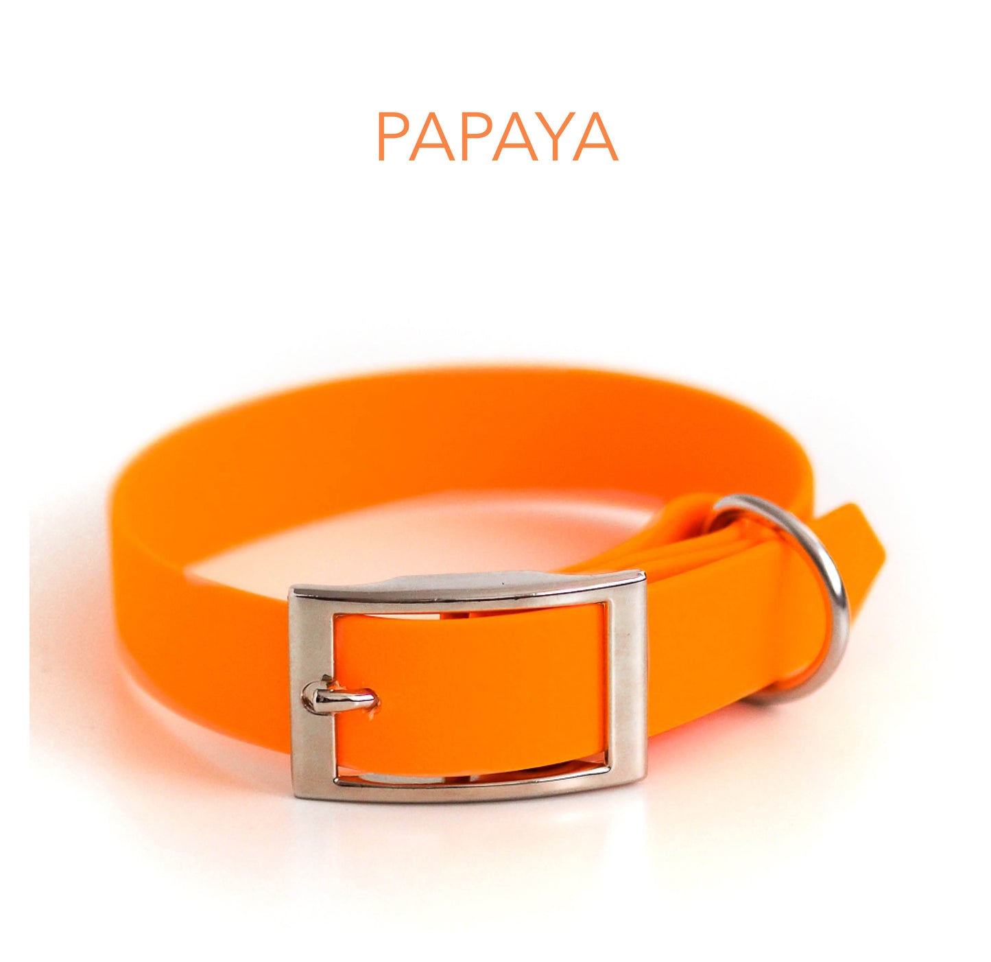 DIY Biothane® Halsband Chloe: - Farbe: orange