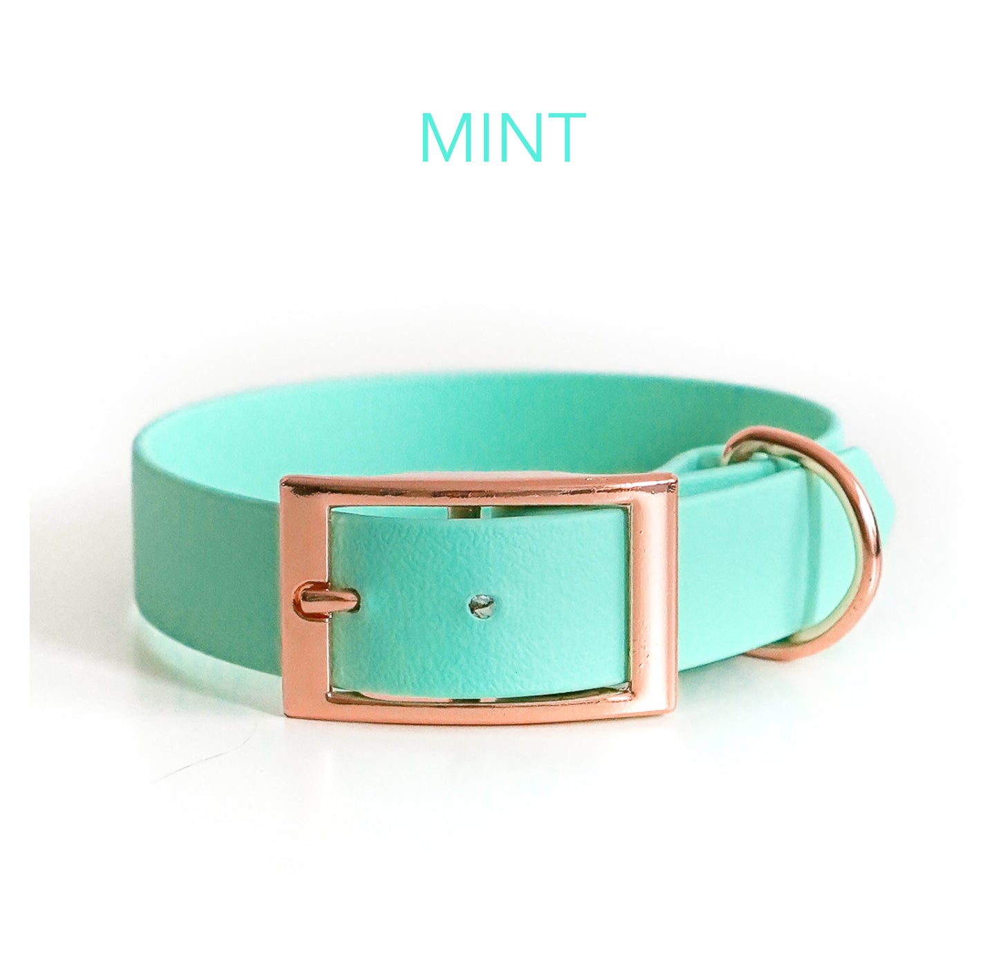 DIY Biothane® Halsband Chloe: - Farbe: mintgrün