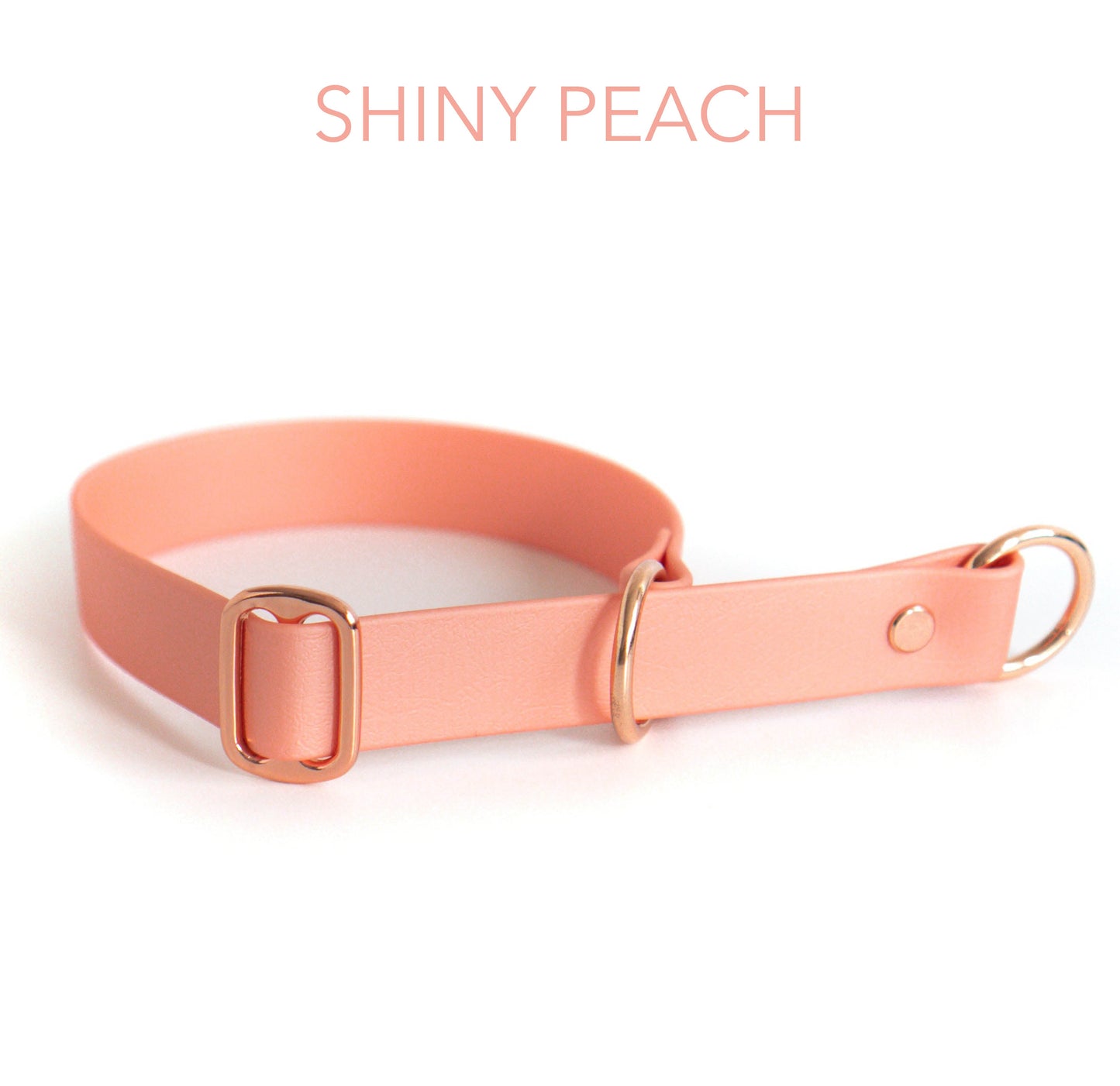 DIY Zugstopphalsband Chloe mit Namensschild: Biothane® - hundgemacht