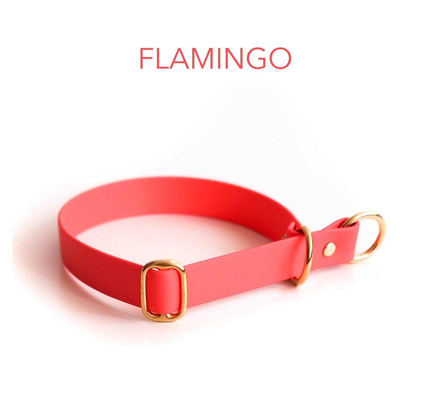 DIY Zugstopphalsband Chloe mit Namensschild: Biothane® - hundgemacht