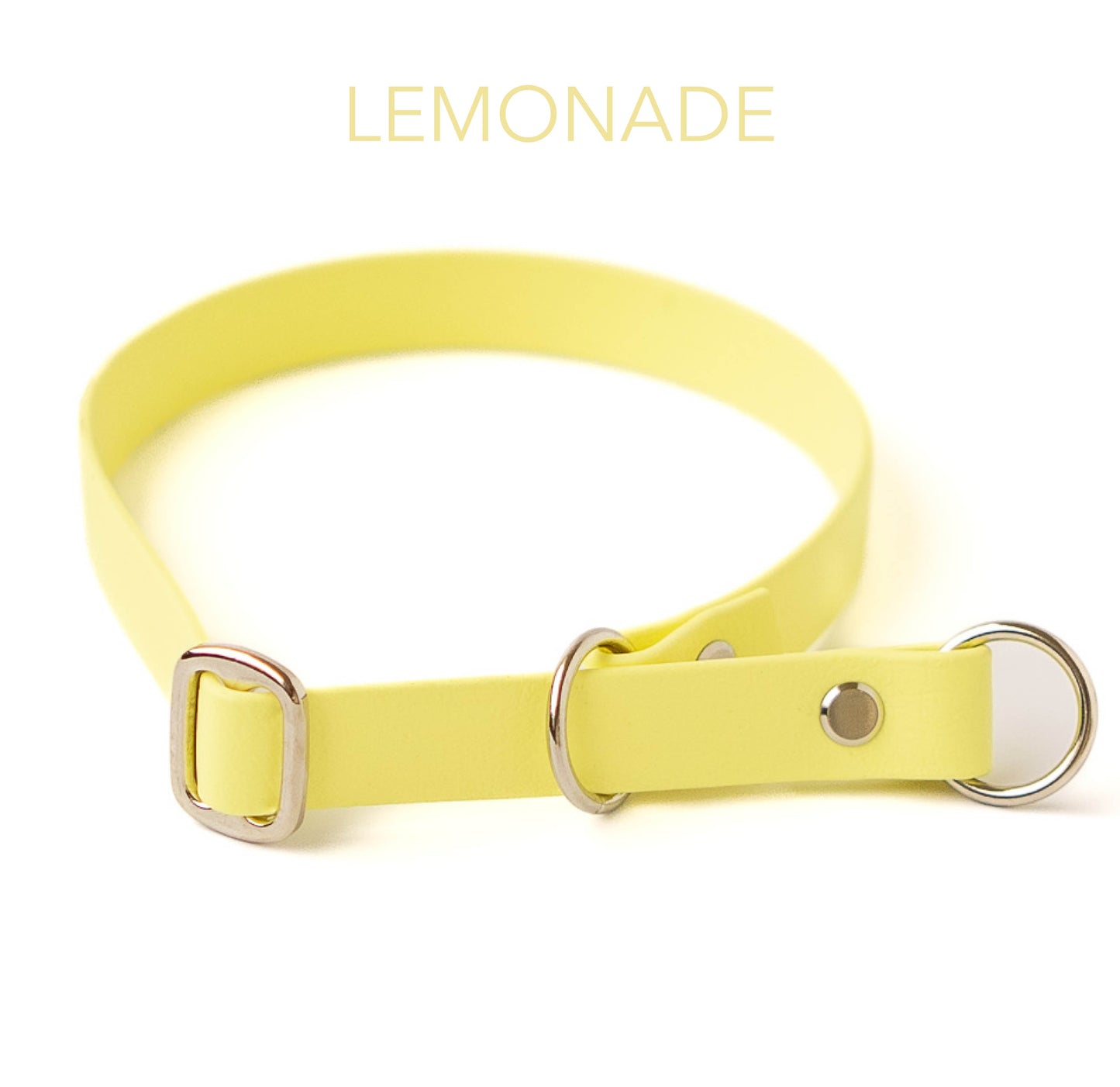 DIY Zugstopphalsband Chloe mit Namensschild: Biothane® - hundgemacht