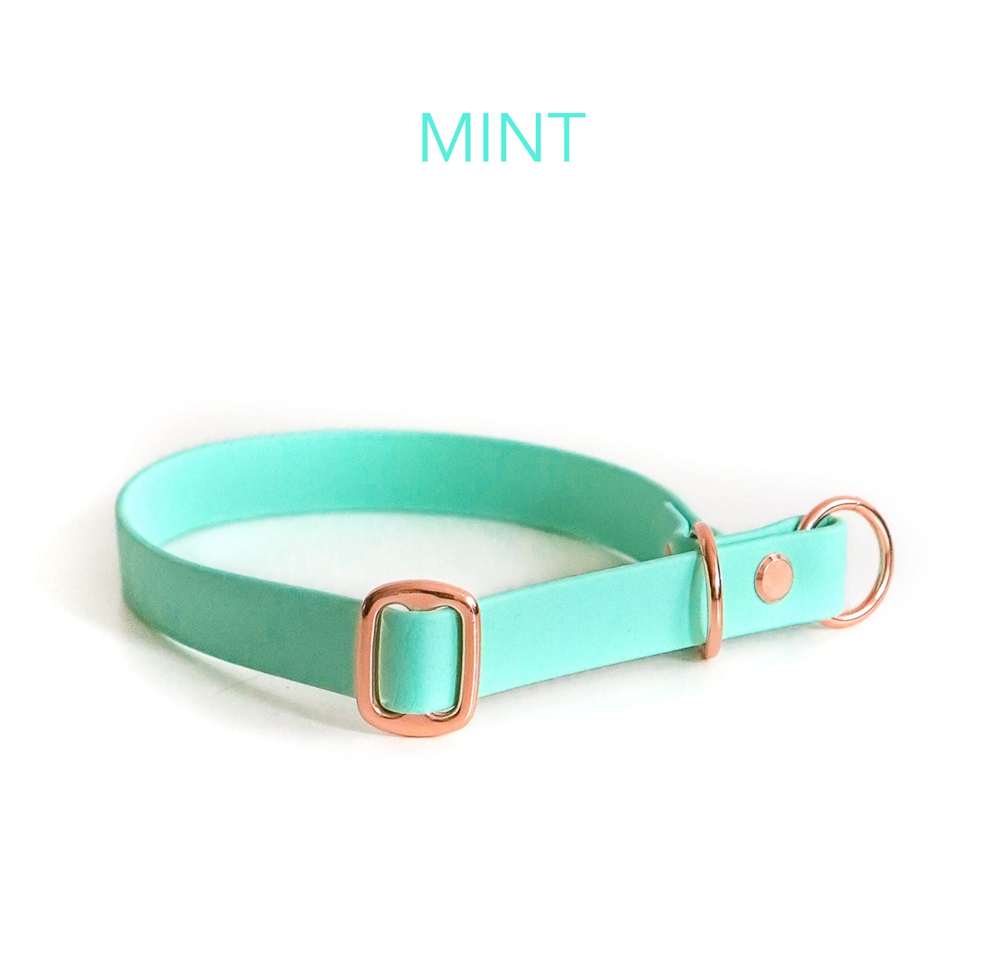 DIY Zugstopphalsband Chloe mit Namensschild: Biothane® - hundgemacht