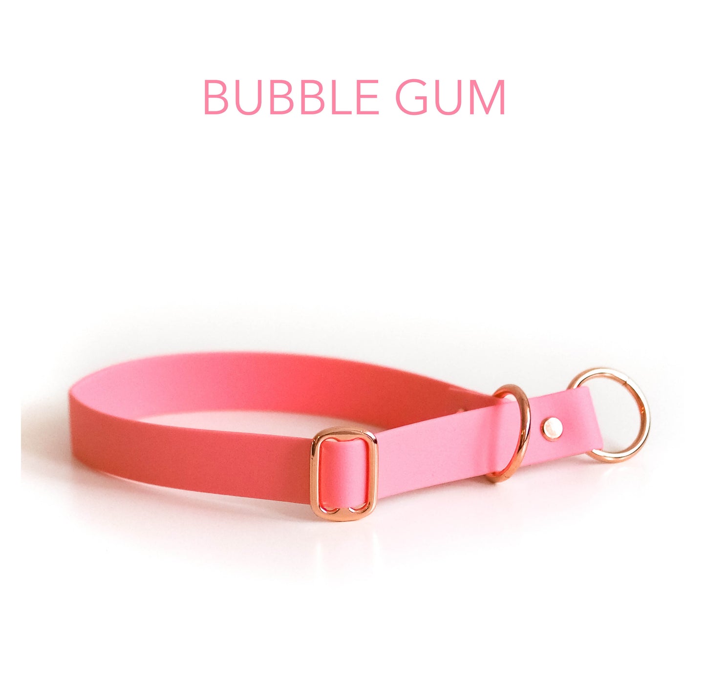 DIY Zugstopphalsband Chloe mit Namensschild: Biothane® - hundgemacht