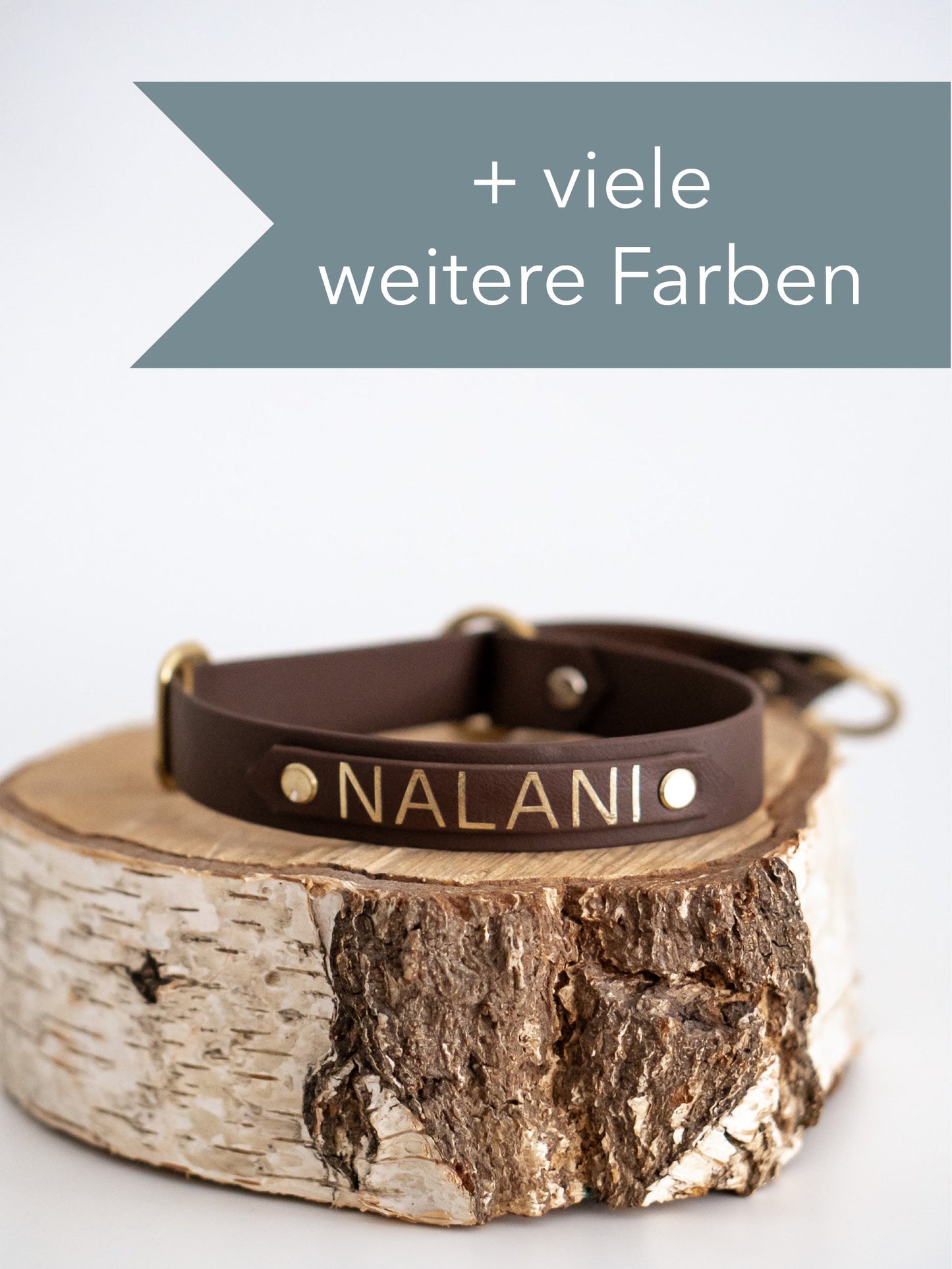 DIY Zugstopphalsband Chloe mit Namensschild: Biothane® - hundgemacht