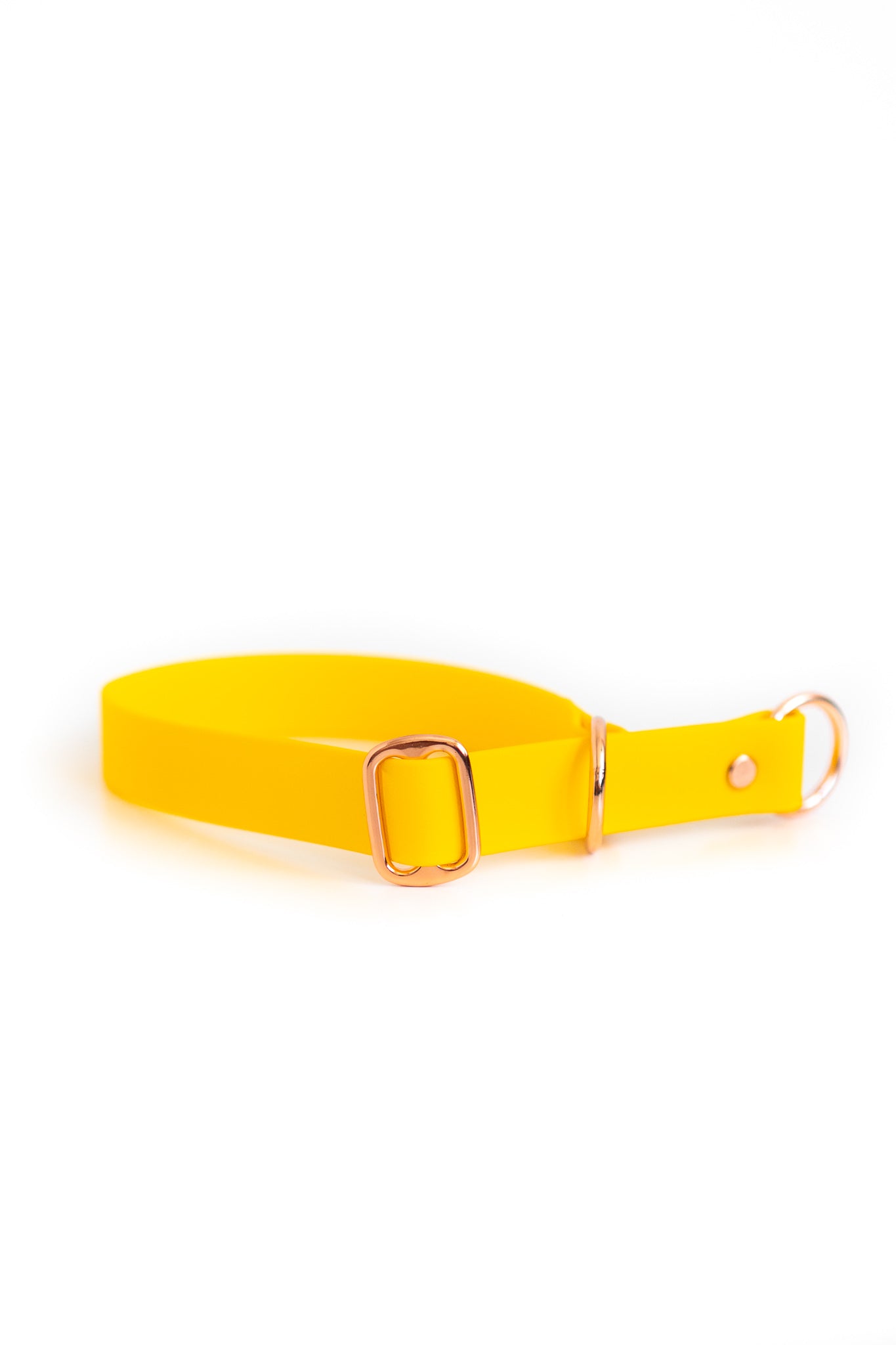 DIY Zugstopphalsband Chloe mit Namensschild: Biothane® - hundgemacht