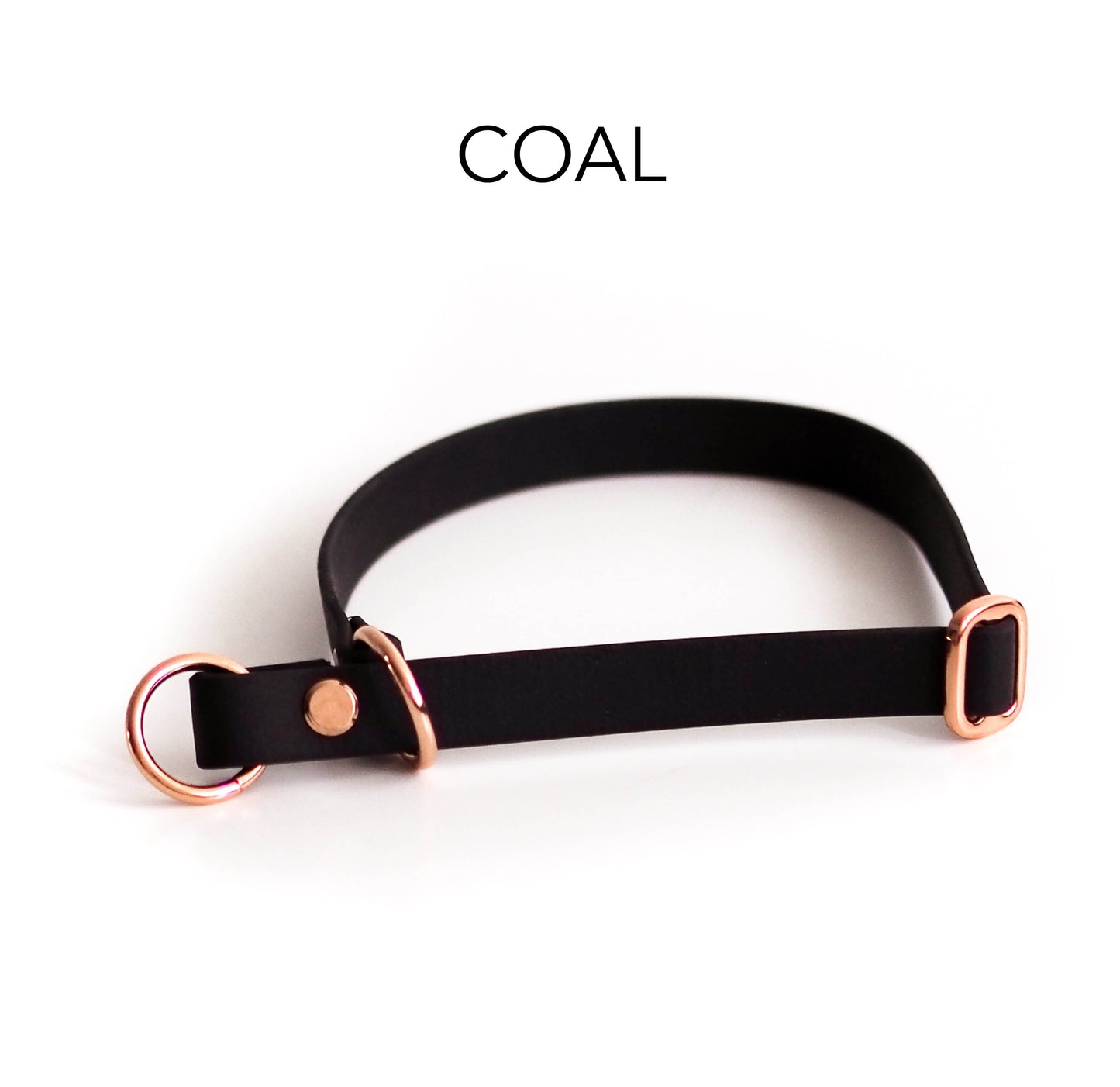 DIY Zugstopphalsband Chloe mit Namensschild: Biothane® - hundgemacht