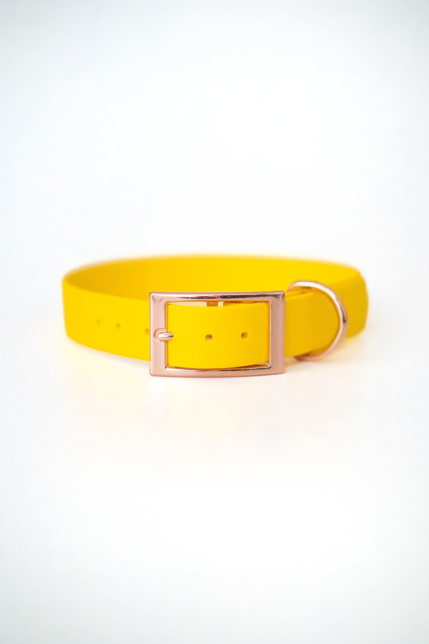 Chloe Biothane® Halsband | mango | 25 mm | 39-46 cm | handgemacht