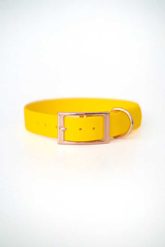 Chloe Biothane® Halsband | mango | 25 mm | 39-46 cm | handgemacht