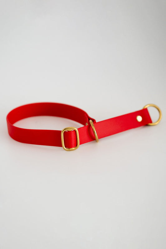 Chloe Biothane Zugstopphalsband | rot | 25mm | bis 45cm | handgemacht - hundgemacht